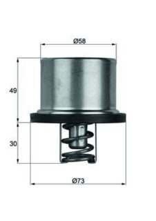Термостат THD179 Mahle